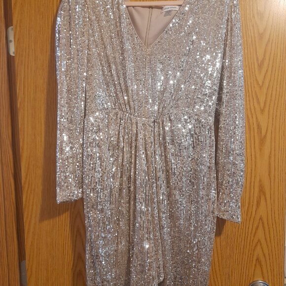 Champagne Wedding Guest Dress - Picture 3 of 3